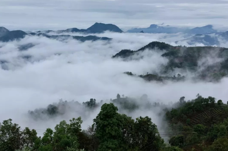 微信截图_20190923085702 微信截图_20190923085702